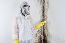 Best Industrial Mold Remediation  in Mount Airy, GA